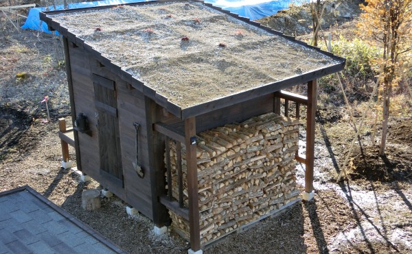 01.はじめての物置小屋づくりで、屋根に草を生やす