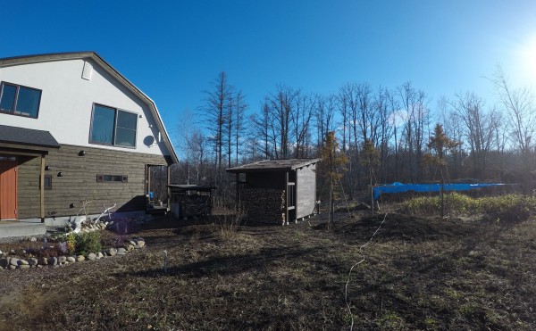 02.はじめての物置小屋づくりで、屋根に草を生やした