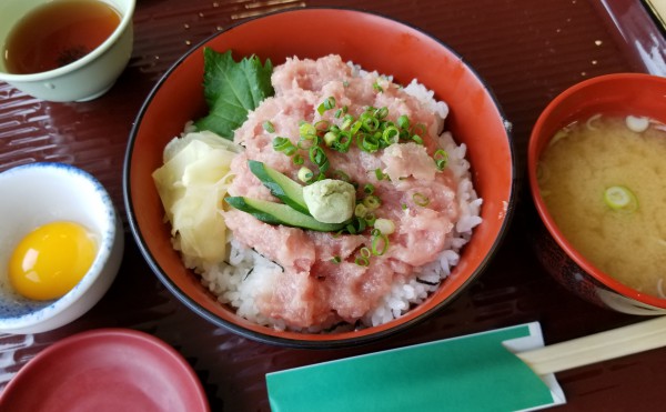 ご、500円？！帯広市場食堂ふじ膳で『ねぎトロ丼』を食べた話