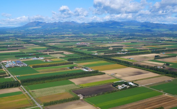 十勝を代表するパッチワーク畑の空撮写真。その撮影場所を調べ始めて後悔した話。