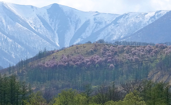 穴場スポット／03. 十勝平野・日高山脈をぐるりと見渡せる「清水円山展望台」で十勝の絶景を独り占め！