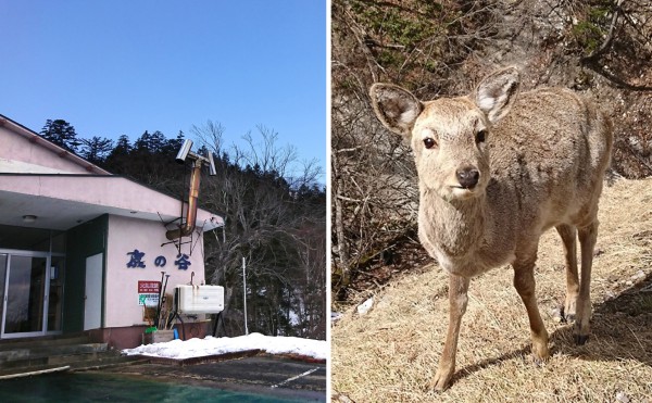 【混浴】通わずにはいられなくなる！お湯も露天風呂も超絶最高な「幌加温泉」／上士幌町